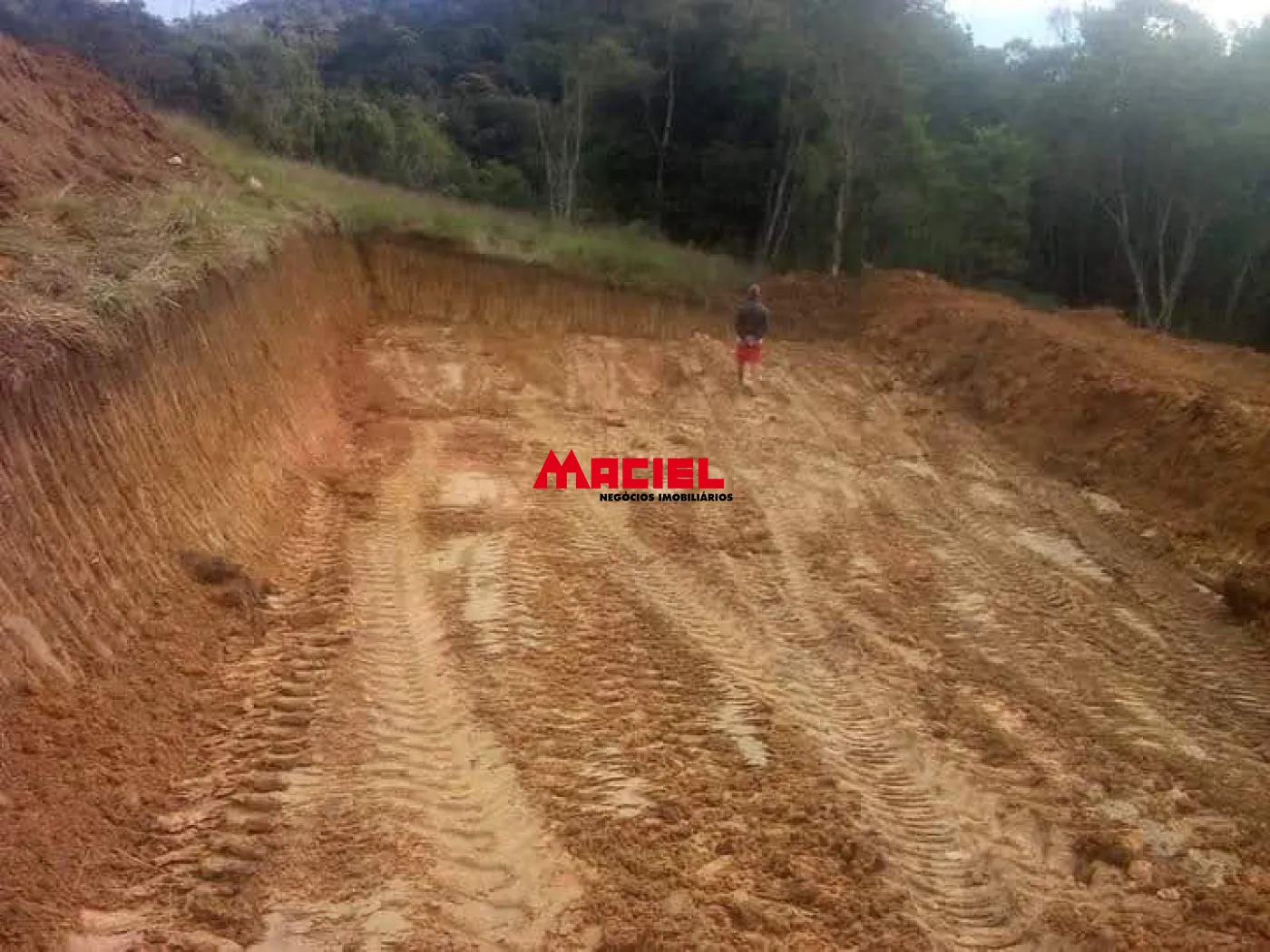 Comprar Rural / Sítio em Natividade da Serra R$ 470.000,00 - Foto 12