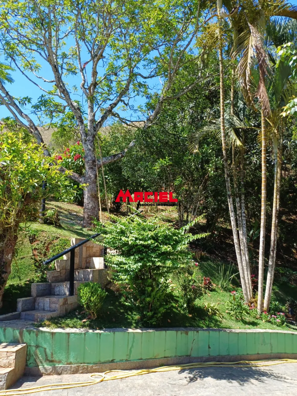 Comprar Rural / Sítio em Monteiro Lobato R$ 1.500.000,00 - Foto 5