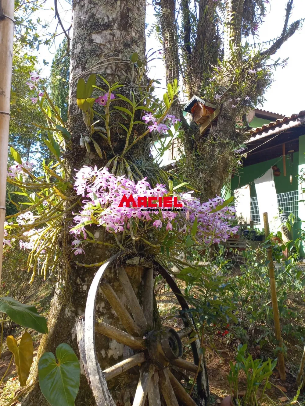 Comprar Rural / Sítio em Monteiro Lobato R$ 1.500.000,00 - Foto 12