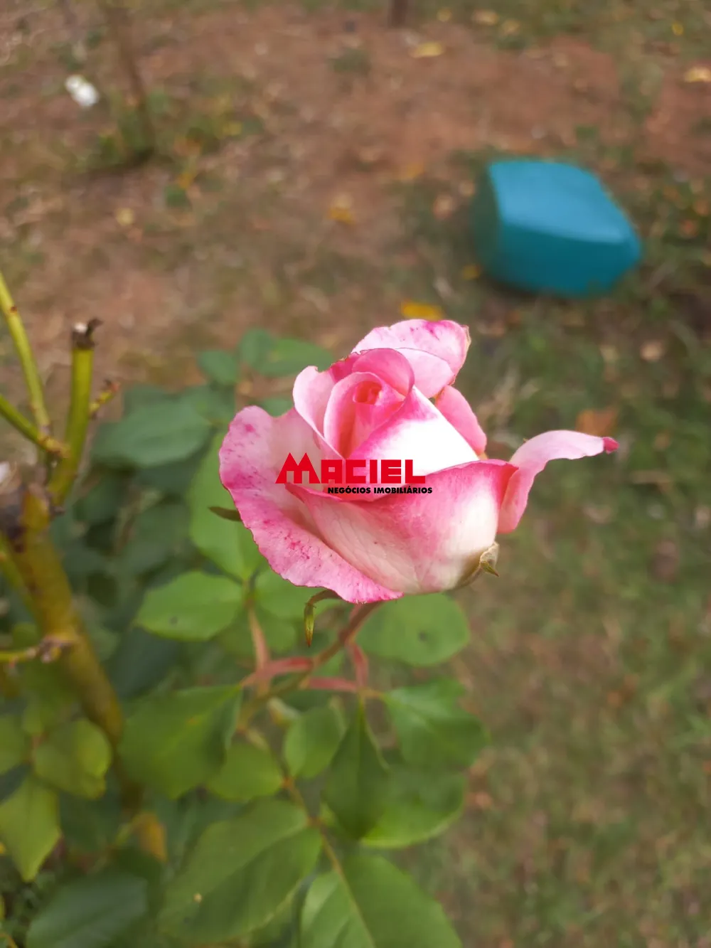 Comprar Rural / Sítio em Monteiro Lobato R$ 1.500.000,00 - Foto 13