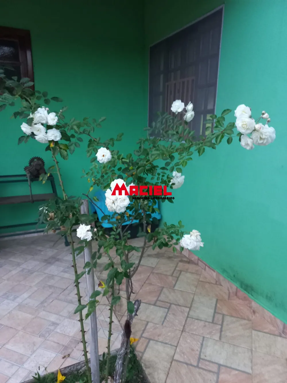 Comprar Rural / Sítio em Monteiro Lobato R$ 1.500.000,00 - Foto 19
