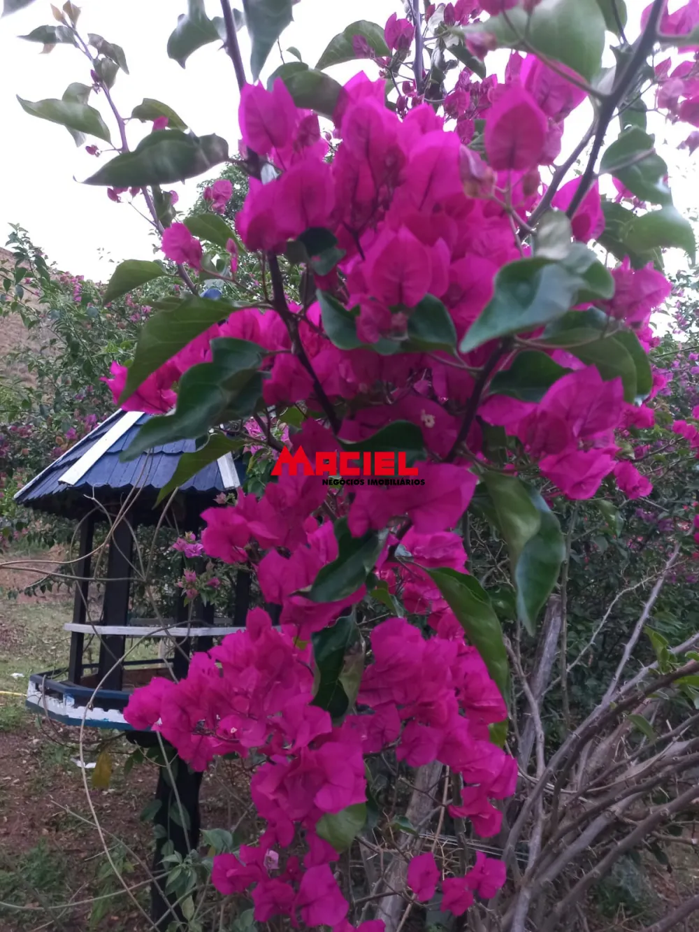 Comprar Rural / Sítio em Monteiro Lobato R$ 1.500.000,00 - Foto 20
