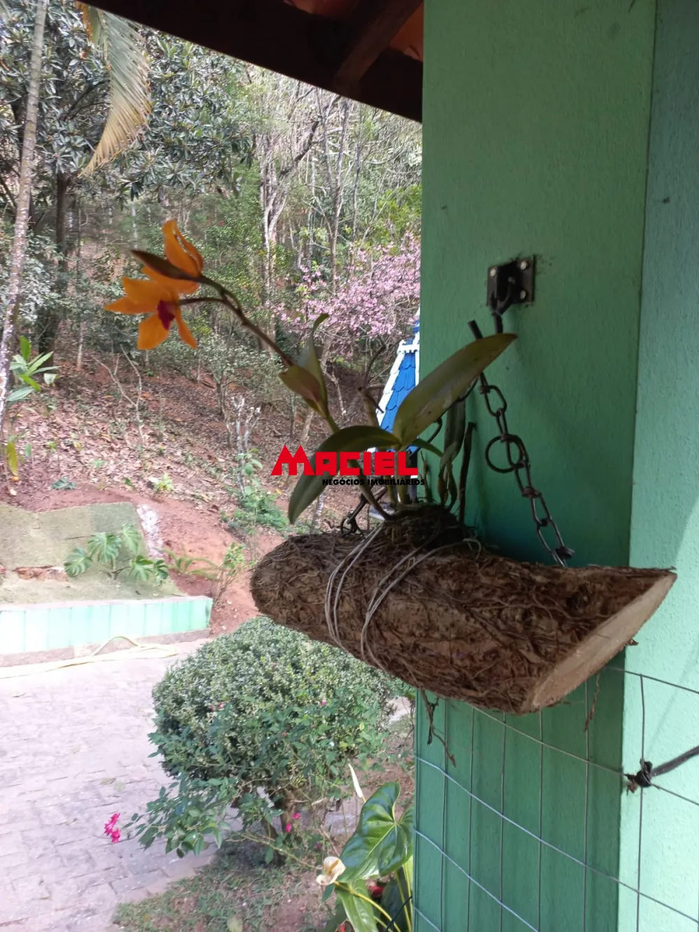 Comprar Rural / Sítio em Monteiro Lobato R$ 1.500.000,00 - Foto 21