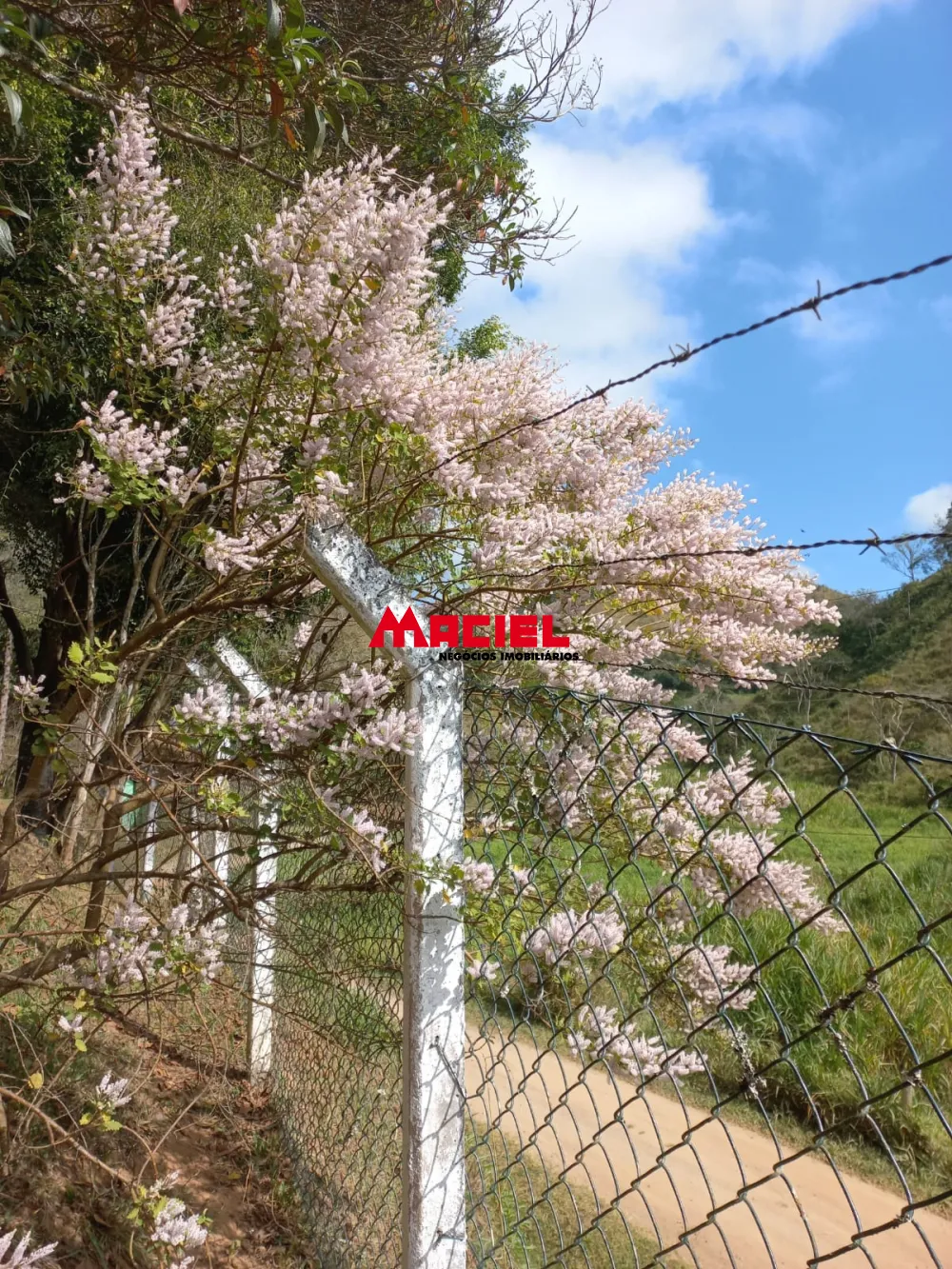 Comprar Rural / Sítio em Monteiro Lobato R$ 1.500.000,00 - Foto 22