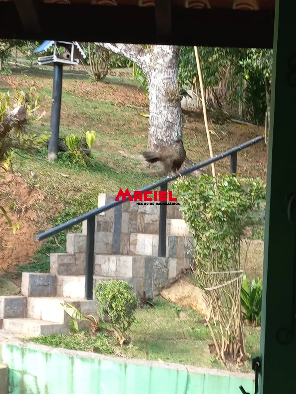 Comprar Rural / Sítio em Monteiro Lobato R$ 1.500.000,00 - Foto 23