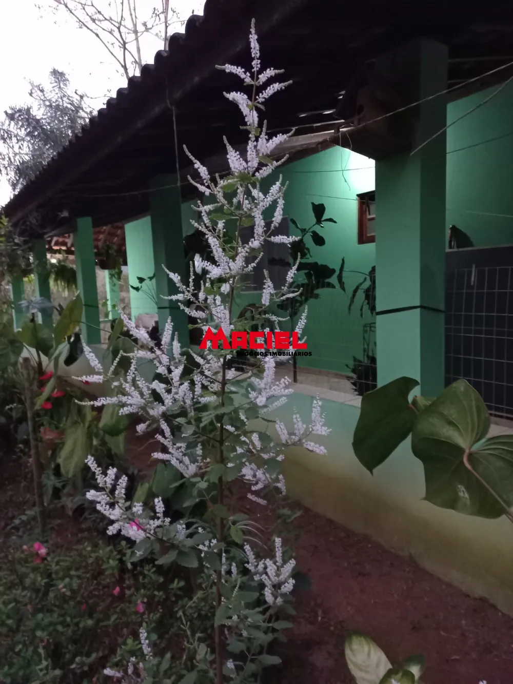 Comprar Rural / Sítio em Monteiro Lobato R$ 1.500.000,00 - Foto 25