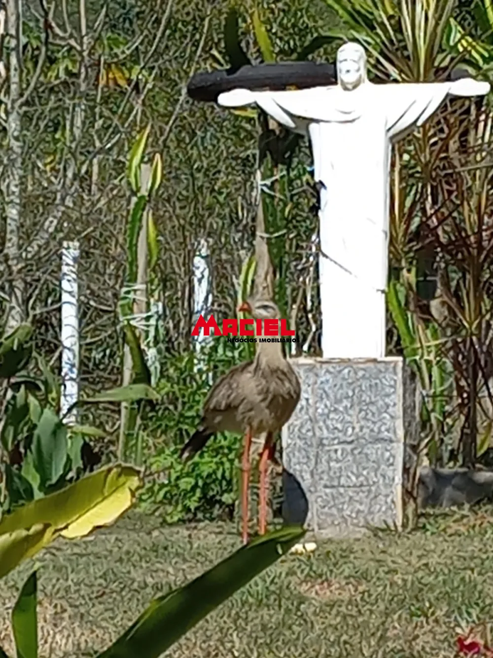 Comprar Rural / Sítio em Monteiro Lobato R$ 1.500.000,00 - Foto 26