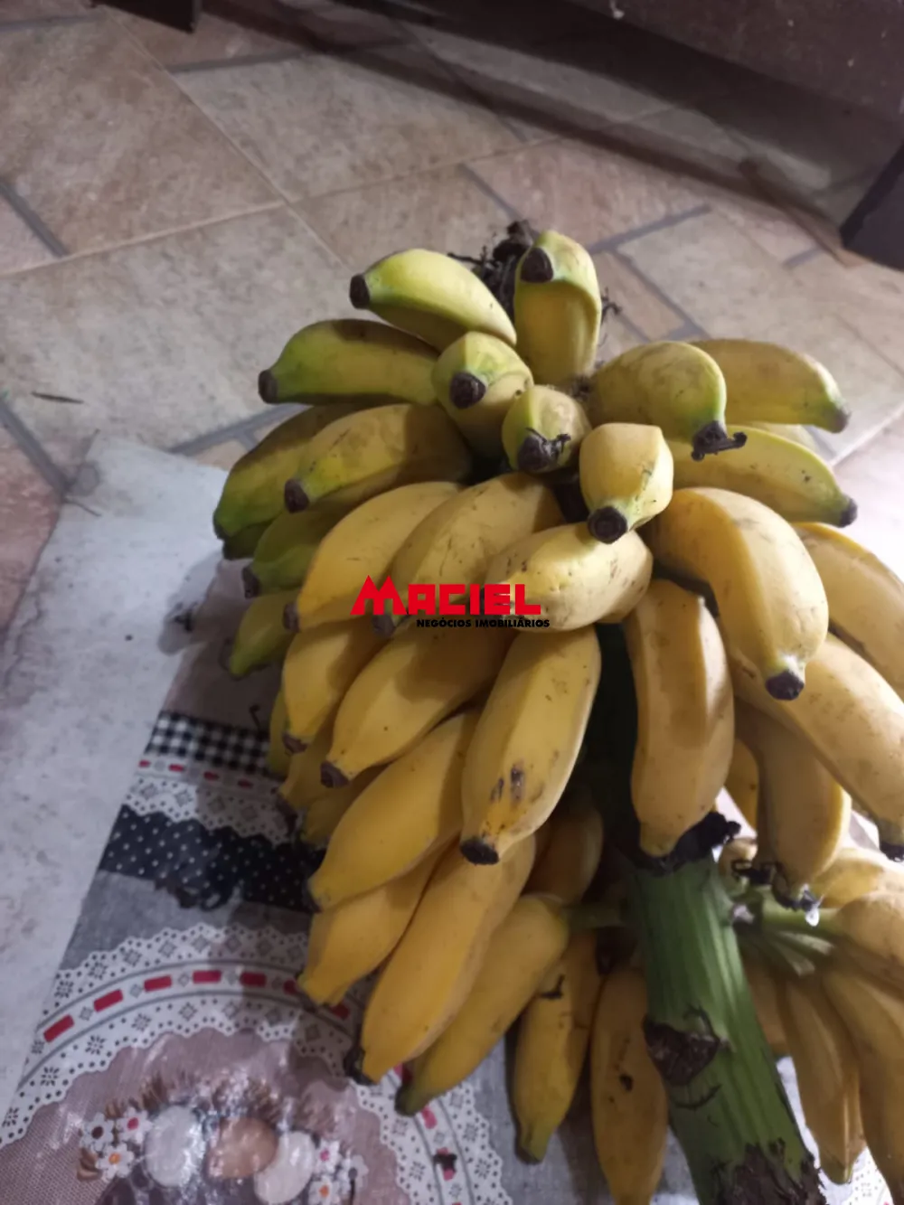 Comprar Rural / Sítio em Monteiro Lobato R$ 1.500.000,00 - Foto 37