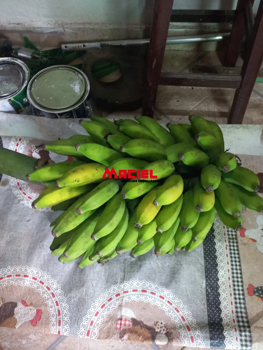 Comprar Rural / Sítio em Monteiro Lobato R$ 1.500.000,00 - Foto 39