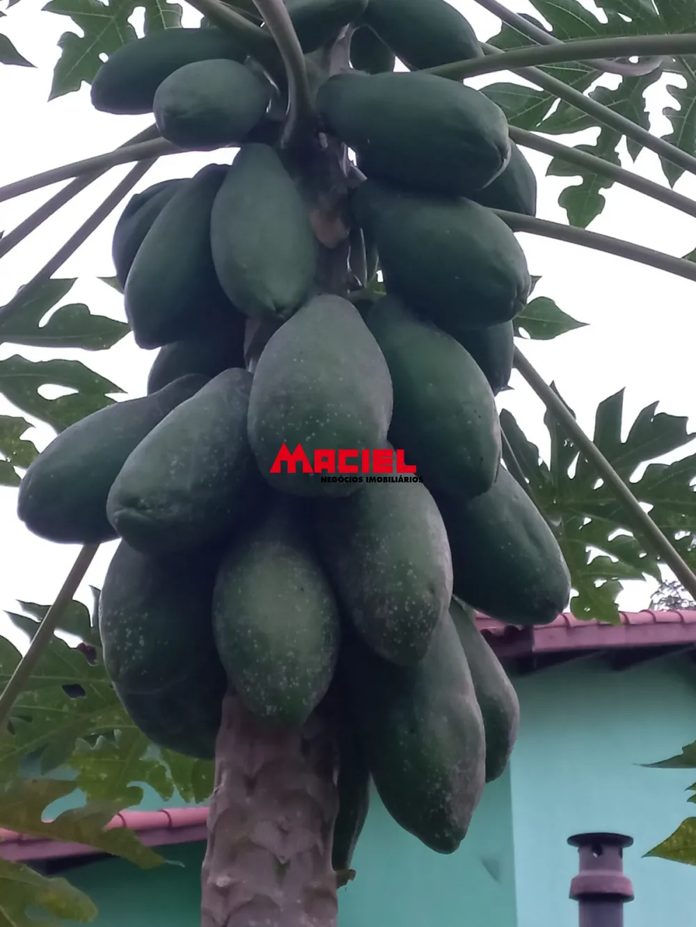 Comprar Rural / Sítio em Monteiro Lobato R$ 1.500.000,00 - Foto 41