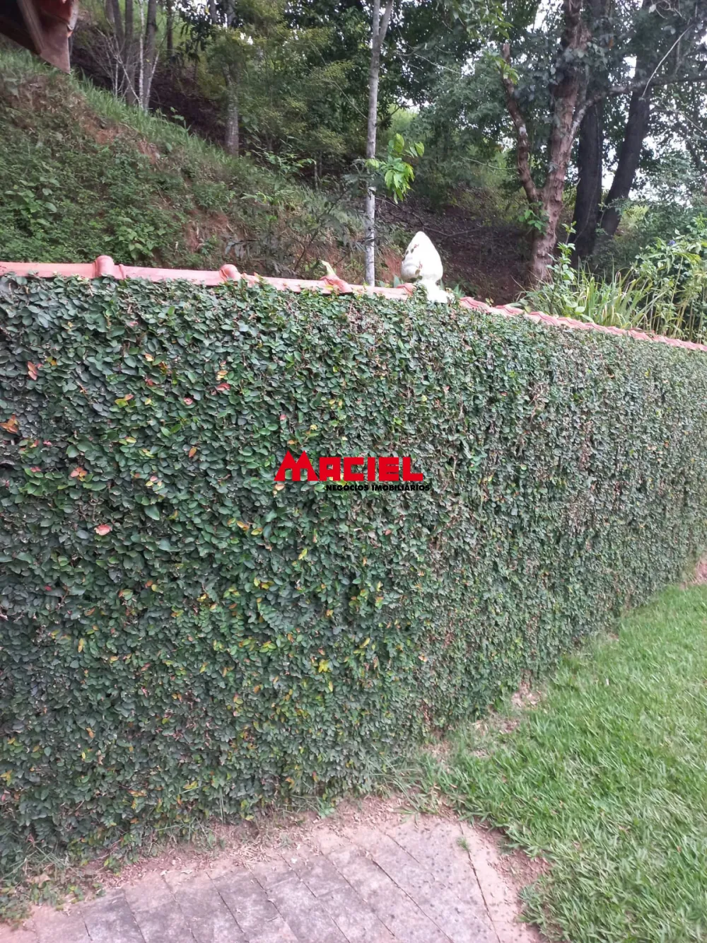 Comprar Rural / Sítio em Monteiro Lobato R$ 1.500.000,00 - Foto 44