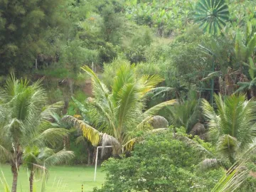imagem 5 - LINDA ÁREA BUCÓLICA PARA PESCA, REPOUSO E LAZER imagem 5 - LINDA ÁREA BUCÓLICA PARA PESCA, REPOUSO E LAZER