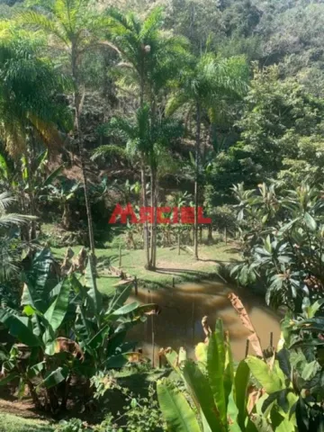 imagem 5 - Rural - Fazenda, Sítio e Chácara imagem 5 - Rural - Fazenda, Sítio e Chácara