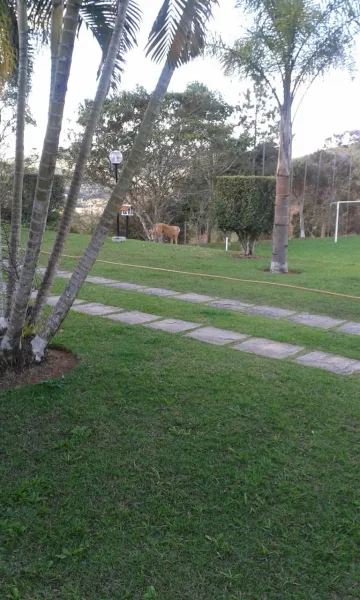imagem 4 - Chácara Recanto Boa Vista imagem 4 - Chácara Recanto Boa Vista