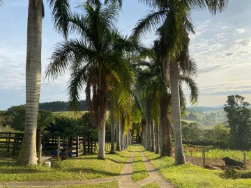 imagem 2 - Rural - Fazenda, Sítio e Chácara imagem 2 - Rural - Fazenda, Sítio e Chácara