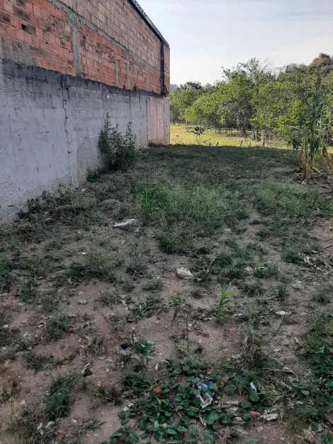 imagem 3 - Terreno - Residencial imagem 3 - Terreno - Residencial