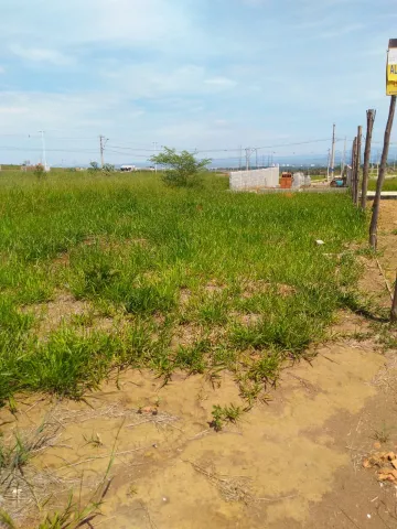 imagem 3 - Terreno no Setville imagem 3 - Terreno no Setville