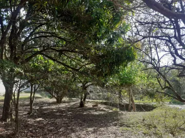 imagem 3 - Terreno dos Sonhos no Santa Hermínia: Natureza, Espaço e Praticidade para sua Chácara! imagem 3 - Terreno dos Sonhos no Santa Hermínia: Natureza, Espaço e Praticidade para sua Chácara!
