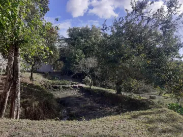 imagem 5 - Terreno dos Sonhos no Santa Hermínia: Natureza, Espaço e Praticidade para sua Chácara! imagem 5 - Terreno dos Sonhos no Santa Hermínia: Natureza, Espaço e Praticidade para sua Chácara!