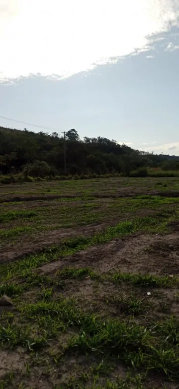 imagem 4 - Rural - Fazenda, Sítio e Chácara imagem 4 - Rural - Fazenda, Sítio e Chácara