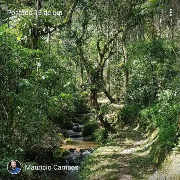 imagem 3 - Sítio em São Francisco Xavier - Bairro Santa Barbara imagem 3 - Sítio em São Francisco Xavier - Bairro Santa Barbara