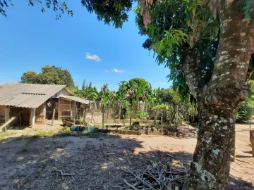 imagem 4 - Chácara com árvores frutíferas imagem 4 - Chácara com árvores frutíferas