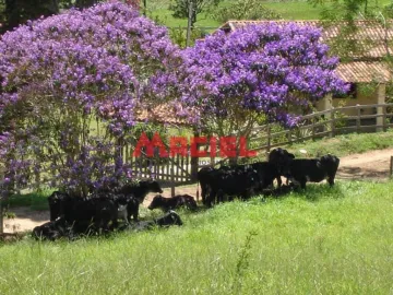 imagem 2 - Rural - Fazenda, Sítio e Chácara imagem 2 - Rural - Fazenda, Sítio e Chácara