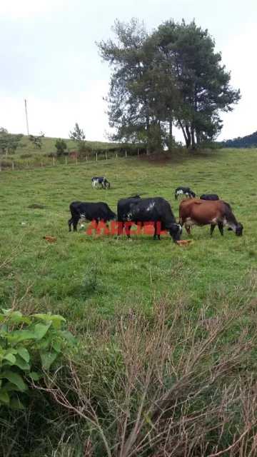 imagem 4 - Rural - Fazenda, Sítio e Chácara imagem 4 - Rural - Fazenda, Sítio e Chácara