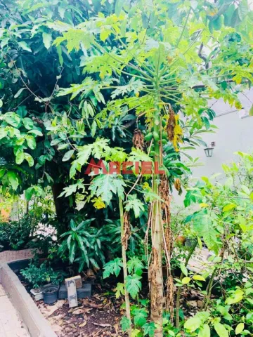 imagem 2 - Linda casa no Jardim Alvorada imagem 2 - Linda casa no Jardim Alvorada