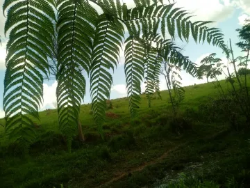 imagem 1 - Terreno - Área imagem 1 - Terreno - Área