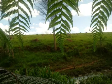 imagem 4 - Terreno - Área imagem 4 - Terreno - Área