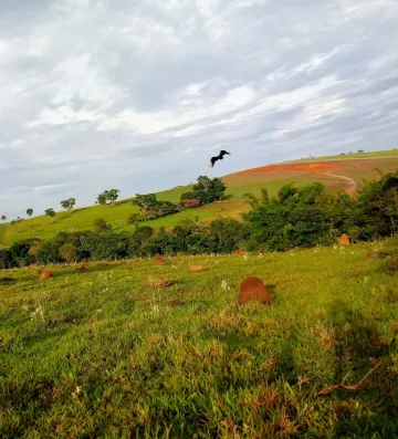 imagem 3 - Terreno - Área imagem 3 - Terreno - Área