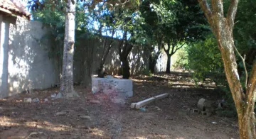 imagem 1 - Rural - Fazenda, Sítio e Chácara imagem 1 - Rural - Fazenda, Sítio e Chácara