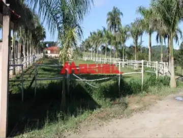 imagem 4 - Rural - Fazenda, Sítio e Chácara imagem 4 - Rural - Fazenda, Sítio e Chácara