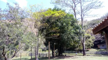 imagem 4 - Belíssima Chácara em São Francisco Xavier imagem 4 - Belíssima Chácara em São Francisco Xavier