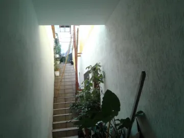 imagem 4 - Casa sobrado no Bosque  Eucalíptos, ótima localização imagem 4 - Casa sobrado no Bosque  Eucalíptos, ótima localização
