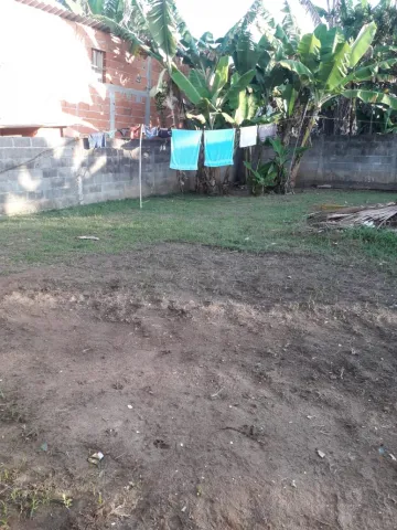 imagem 5 - Rural - Fazenda, Sítio e Chácara imagem 5 - Rural - Fazenda, Sítio e Chácara