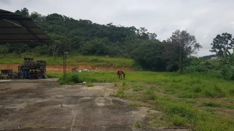 imagem 3 - Galpão Torrão de Ouro - 8 mil metros de área imagem 3 - Galpão Torrão de Ouro - 8 mil metros de área