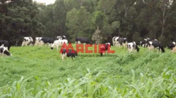 Monteiro Lobato Souza rural Venda R$2.945.000,00  Area do terreno 400000.00m2 