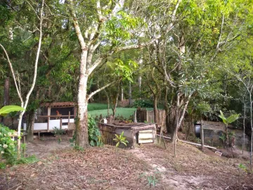 imagem 4 - Rural - Sítio imagem 4 - Rural - Sítio