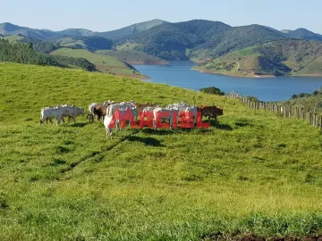 imagem 2 - Rural - Fazenda, Sítio e Chácara imagem 2 - Rural - Fazenda, Sítio e Chácara