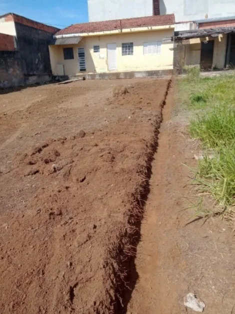 imagem 1 - TERRENO LOTE INTEIRO JARDIM COLONIAL imagem 1 - TERRENO LOTE INTEIRO JARDIM COLONIAL
