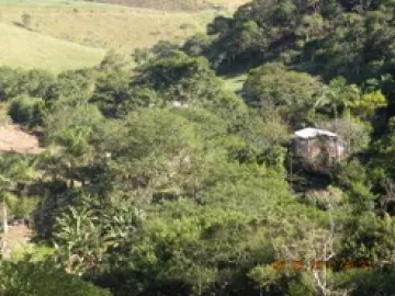imagem 5 - CHACARA NA EST. MUNICIPAL DO TURVO imagem 5 - CHACARA NA EST. MUNICIPAL DO TURVO