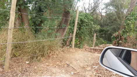imagem 3 - Rural - Fazenda, Sítio e Chácara imagem 3 - Rural - Fazenda, Sítio e Chácara