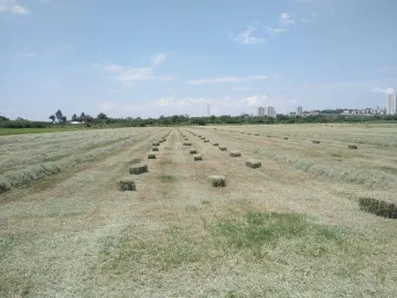 imagem 3 - Terreno - Área imagem 3 - Terreno - Área