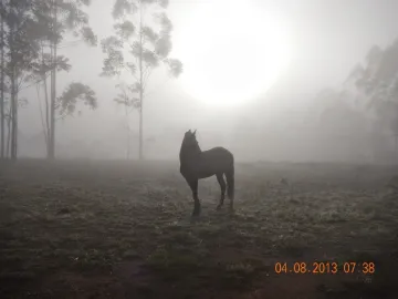 imagem 2 - Rural - Fazenda, Sítio e Chácara imagem 2 - Rural - Fazenda, Sítio e Chácara