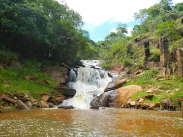 imagem 5 - Rural - Fazenda, Sítio e Chácara imagem 5 - Rural - Fazenda, Sítio e Chácara