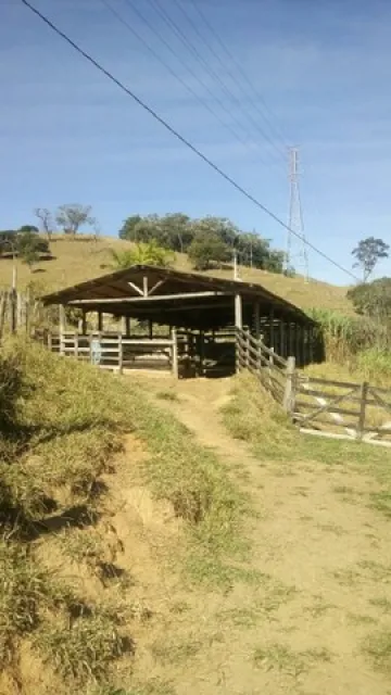 imagem 5 - Rural - Fazenda, Sítio e Chácara imagem 5 - Rural - Fazenda, Sítio e Chácara