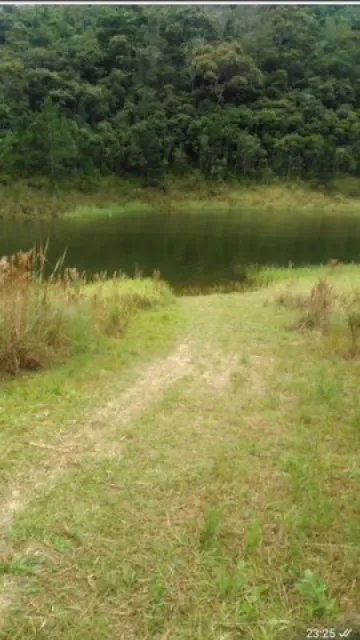 imagem 4 - Chácara de 8 mil m2 na Represa de Paraibuna imagem 4 - Chácara de 8 mil m2 na Represa de Paraibuna