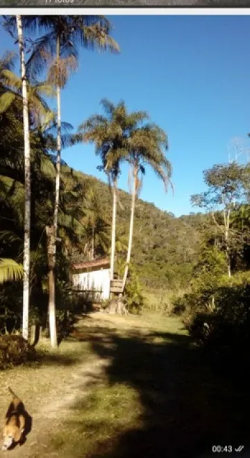 imagem 5 - Chácara de 8 mil m2 na Represa de Paraibuna imagem 5 - Chácara de 8 mil m2 na Represa de Paraibuna